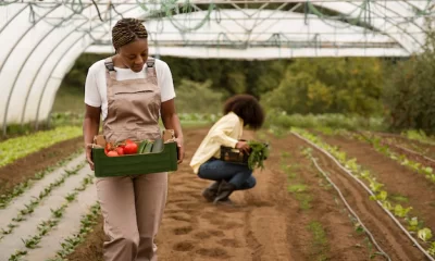 Farming Jobs in Canada